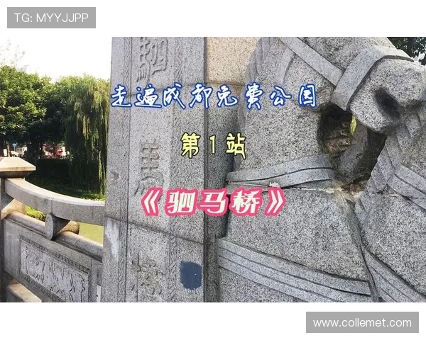 娆у啝 5-0 妯壂鍥界背澶哄啝锛佺綏瑗匡細宸撮粠涓栦勘鏉棤鎮康